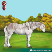 Horse Color:Powder White White Spotted Silver Black 