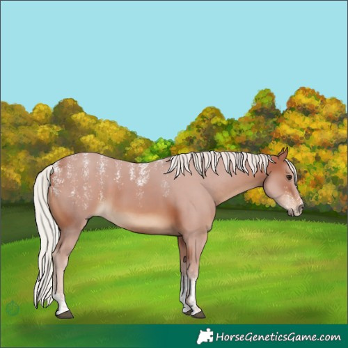 Horse Color:Powder White Silver Brown 