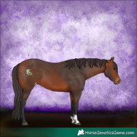 Horse Color:Bay Varnish 