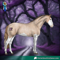 Horse Color:Blue Roan Pearl Splash