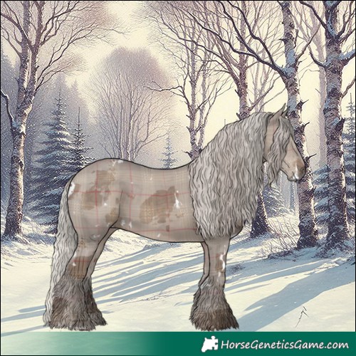 Horse Color:Plaid White Spotted Silver Grullo Merle