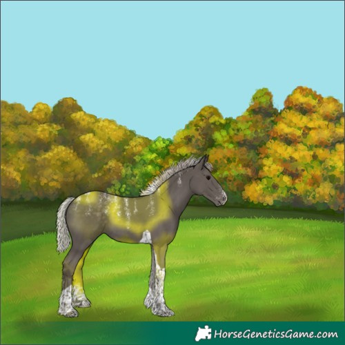 Horse Color:Powder White Silver Black Tobiano 