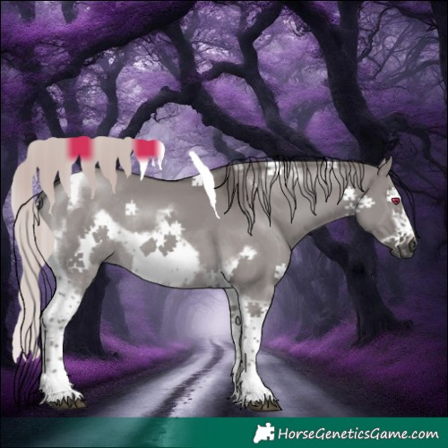 Horse Color:Gray Platinum Pseudo Chocolate Palomino Dun Mushroom Tobiano Frame Rabicano