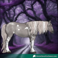 Horse Color:Gray Platinum Pseudo Chocolate Palomino Dun Mushroom Tobiano Frame Rabicano 