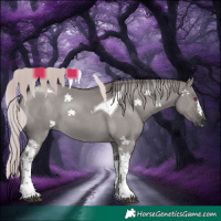 Horse Color:Gray Platinum Pseudo Chocolate Palomino Dun Mushroom Tobiano Frame Rabicano
