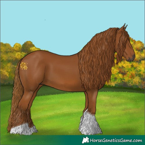 Horse Color:Gray Chestnut Tobiano