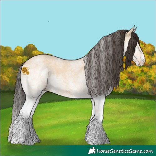 Horse Color:White Spotted Bay Dun 