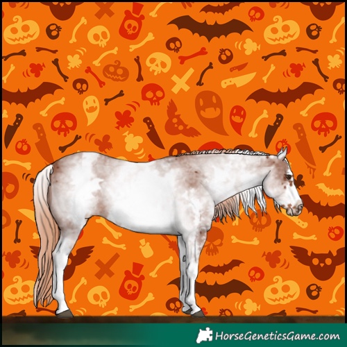 Horse Color:White Spotted Chestnut Sabino Frame