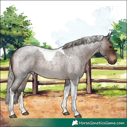 Horse Color:Silver Brown Roan Tobiano 