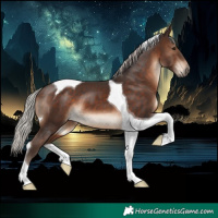 Horse Color:Silver Brown Tobiano