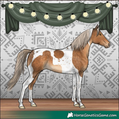 Horse Color:Chocolate Palomino Tobiano
