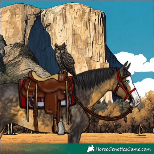 Horse Color:Buckskin Splash