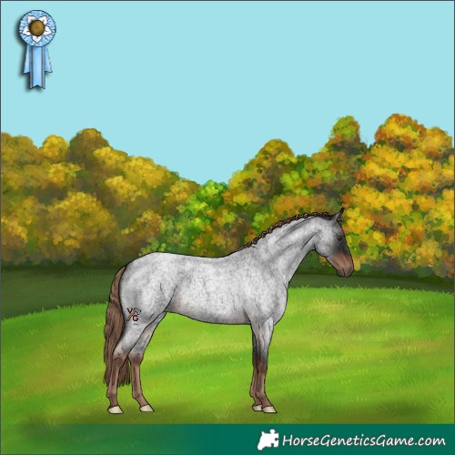 Horse Color:Liver Red Roan