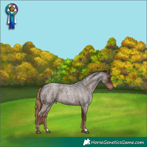 Horse Color:Liver Red Roan