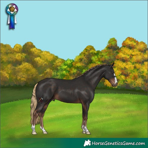 Horse Color:Liver Chestnut