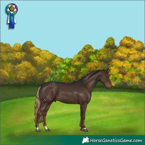 Horse Color:Liver Chestnut