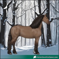 Horse Color:Liver Red Dun 