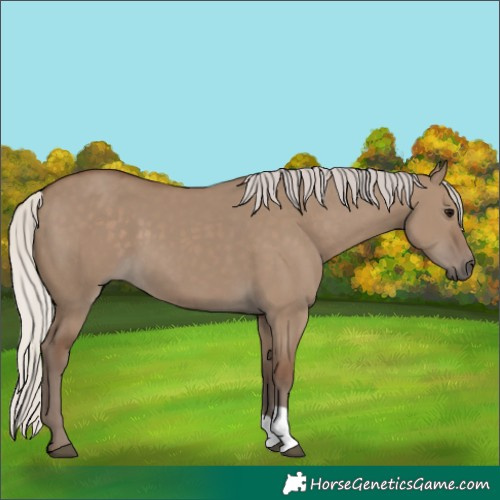 Horse Color:Silver Grullo