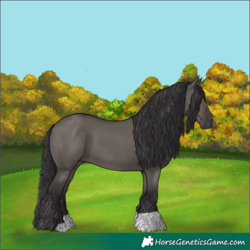 Horse Color:Smoky Grullo