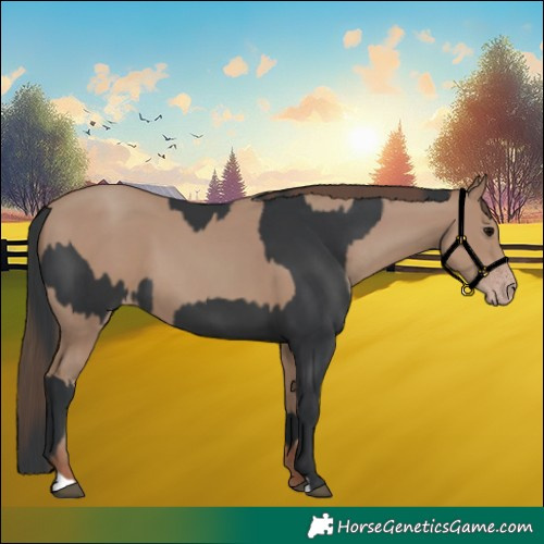 Horse Color:Black and Classic Champagne