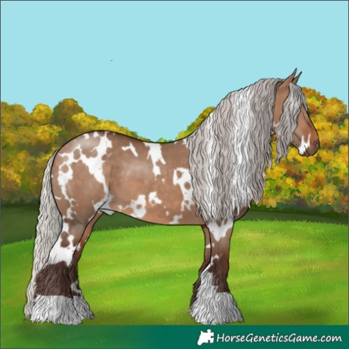Horse Color:White Spotted Silver Brown Dun 