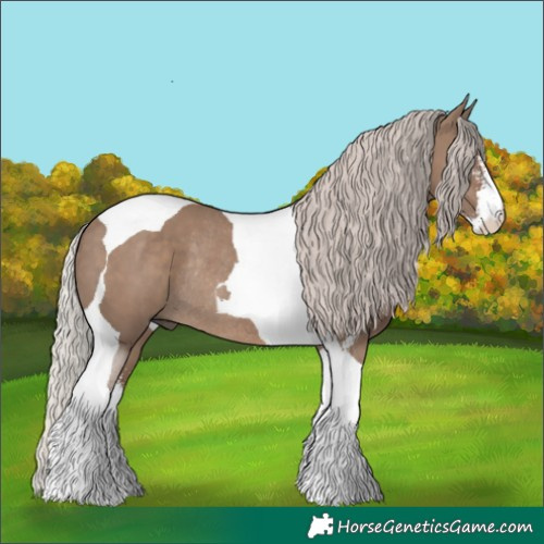 Horse Color:Silver Grullo Sabino Tobiano Rabicano 