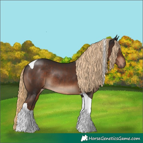 Horse Color:Liver Chestnut Tobiano Rabicano