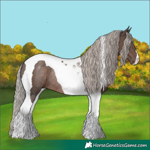 Horse Color:Silver Black Tobiano Rabicano 