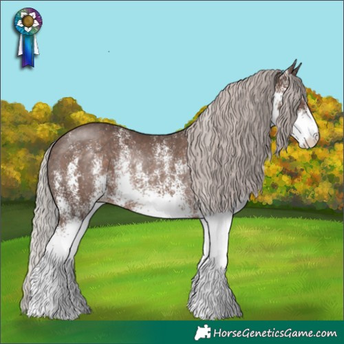 Horse Color:White Spotted Silver Black Rabicano