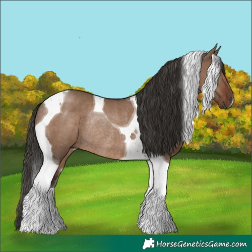 Horse Color:Liver Red Dun Tobiano Rabicano 