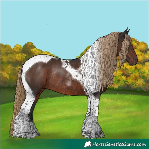 Horse Color:Liver Chestnut Tobiano Rabicano 