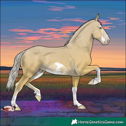 Horse Color:Gold Cream Champagne Splash Frame