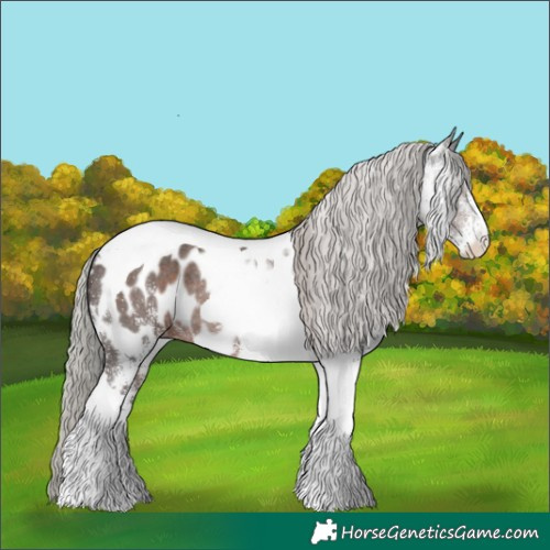 Horse Color:White Spotted Silver Black Tobiano Appaloosa Rabicano 