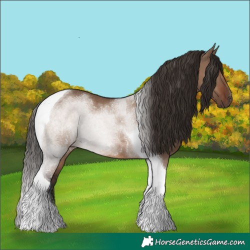 Horse Color:Liver Red Dun Tobiano 
