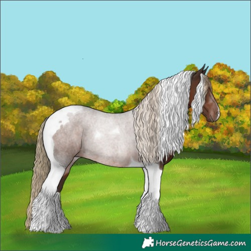 Horse Color:Liver Chestnut Tobiano Rabicano