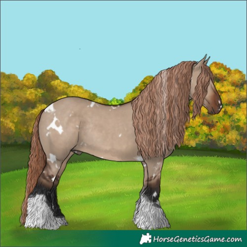 Horse Color:White Spotted Liver Red Dun Tobiano Rabicano 