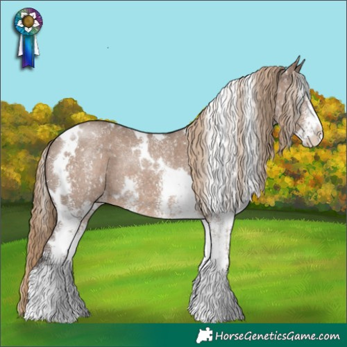 Horse Color:White Spotted Liver Red Dun Rabicano 