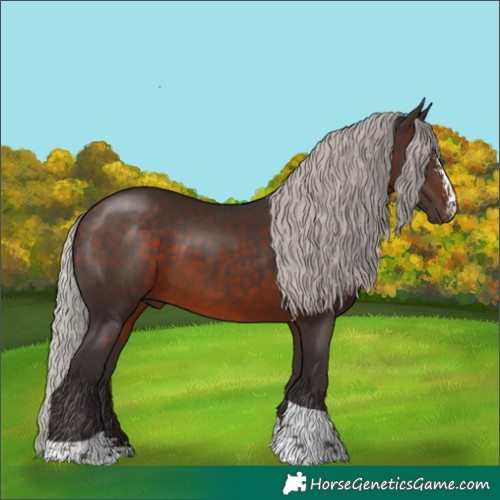 Horse Color:Silver Brown Sabino Tobiano Rabicano