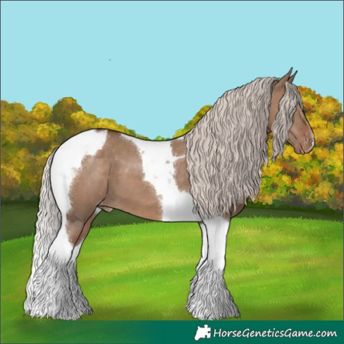 Horse Color:Silver Grullo Tobiano Appaloosa