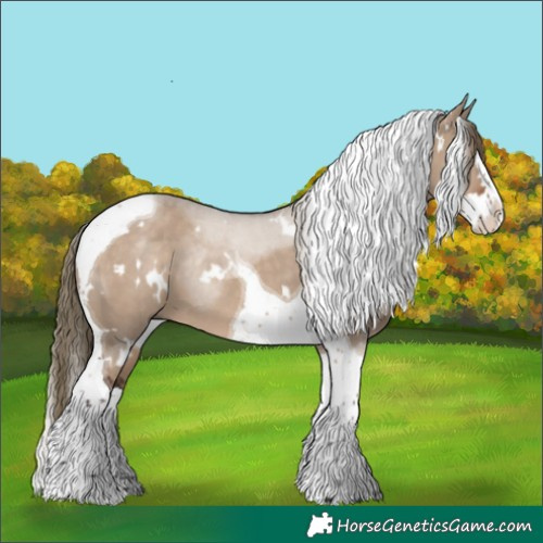 Horse Color:White Spotted Liver Red Dun Splash Tobiano