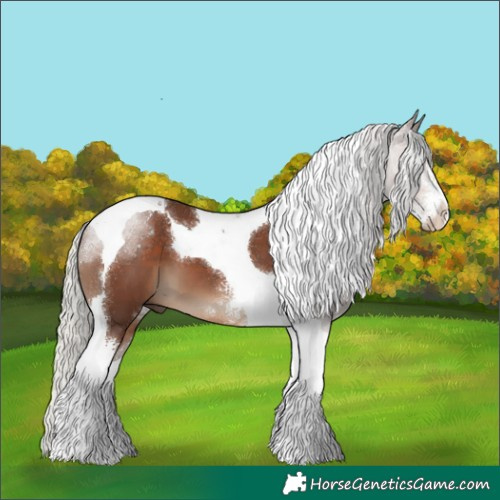 Horse Color:Silver Black Sabino Tobiano 