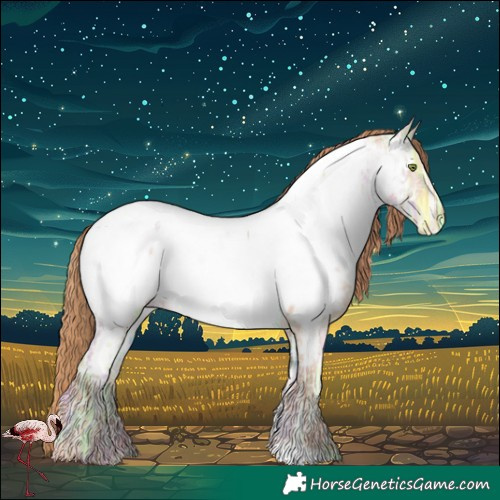 Horse Color:Gold Champagne Ice Dun Appaloosa