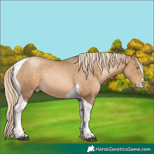 Horse Color:Chocolate Palomino Snowdrop Splash Tobiano