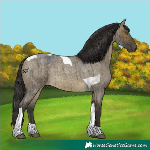 Horse Color:Brown Roan Dun Tobiano Brindle 
