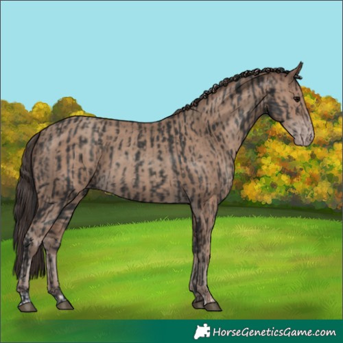 Horse Color:Black and Classic Champagne
