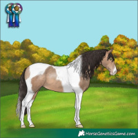 Horse Color:Sable Champagne Tobiano 