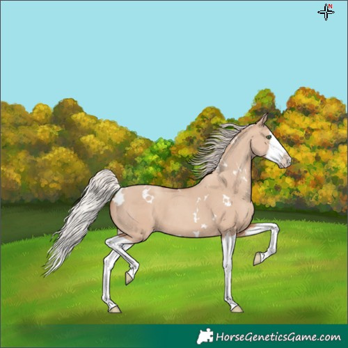 Horse Color:White Spotted Silver Classic Champagne Dun Splash
