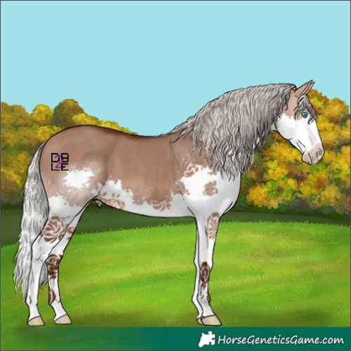 Horse Color:Silver Bay Dun Splash 