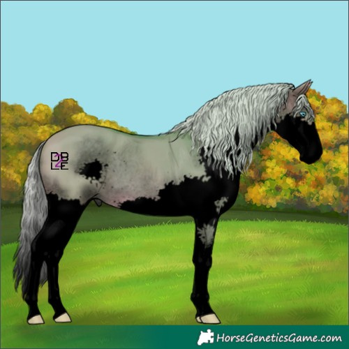 Horse Color:Void Watercolor Silver Brown Dun Splash 