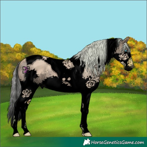 Horse Color:Void Watercolor Silver Bay Dun Splash Tobiano 